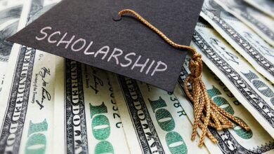 Niche Scholarships: Opportunities For Specialized Students